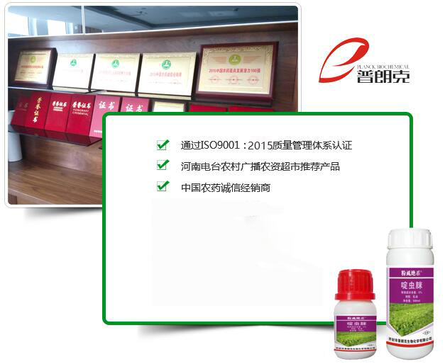 技術(shù)力量雄厚